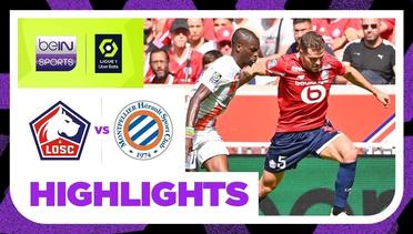 Lille vs Montpellier - Highlights| Ligue 1 2023/2024