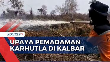 Petugas Masih Berupaya Padamkan Karhutla di Ketapang Kalbar, 3.000 Hektar Lahan Hangus!
