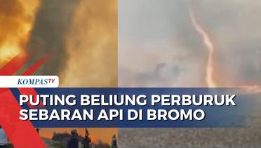Angin Puting Beliung Picu Meluasnya Kebakaran di Bukit Teletubbies Bromo