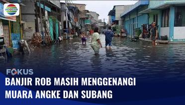 Muara Angke dan Subang Dilanda Banjir ROB, Aktivitas Pembelajaran di Sekolah Ditiadakan | Fokus