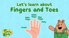 Finger Names in English | Belajar tentang jari dan jari kaki