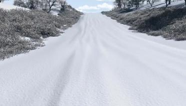 Ep 325 - Snow Tracks