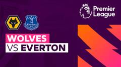 Wolves vs Everton - Full Match | Premier League 23/24