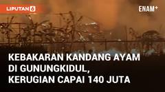 Kebakaran Kandang Ayam di Gunungkidul, Kerugian Ditaksir Capai Rp. 140 Juta