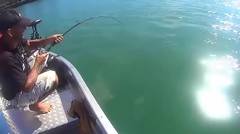 Mancing ikan lele seberat 250kg di sungai!! AMAZING!! 