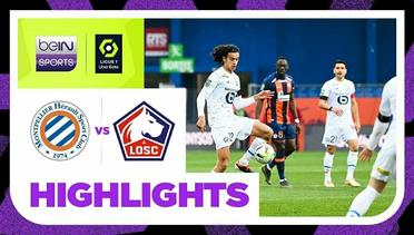 Montpellier vs Lille - Highlights | Ligue 1 2023/2024