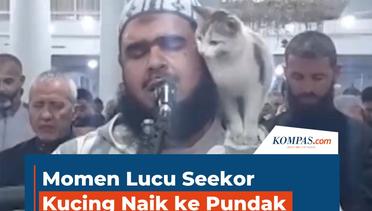 Momen Lucu Seekor Kucing Naik ke Pundak Imam yang Sedang Shalat