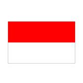 Timnas Indonesia U23