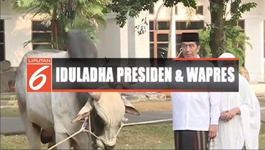 Jokowi dan Jusuf Kalla Rayakan Iduladha di Tempat Terpisah - Liputan 6 Siang