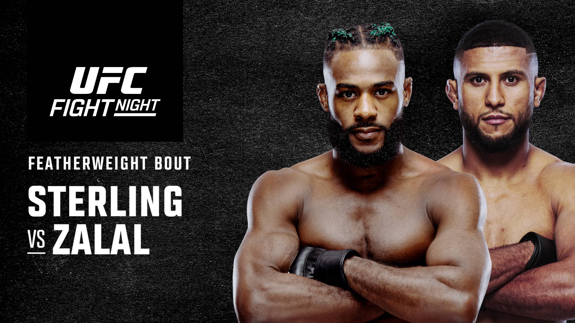 UFC Fight Night: Sterling vs Zalal
