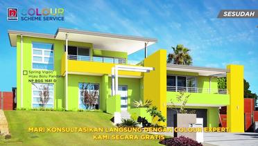 Kombinasi warna cat Hijau Bolu Pandan untuk Rumah