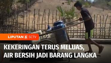 Kekeringan Terus Meluas, Sumber Air Bersih di Maluku Barat Daya Sulit Didapati Warga | LIputan 6