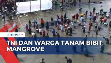 Cegah Abrasi, TNI dan Warga Tanam Bibit Mangrove di Minahasa Selatan