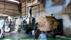 polishing process petrified wood manufacture Indonesia