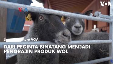 Dari Pecinta Binatang Menjadi Pengrajin Produk Wol