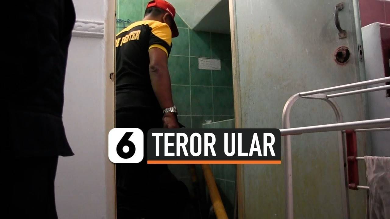 Onam uyga kelishidan oldin jinsiy aloqani tomosha qiling.