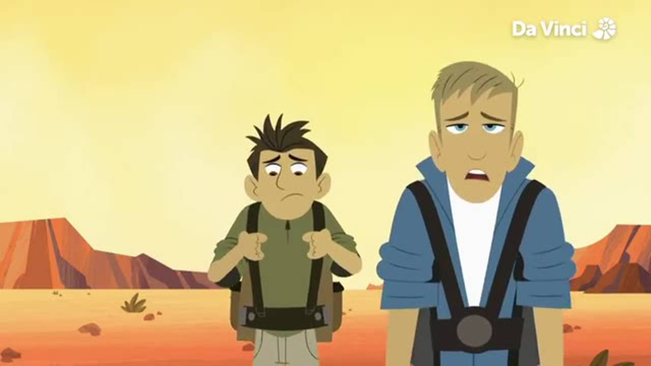 Wild Kratts - Ep 22 - Koala Balloon (2022) | Vidio