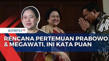 Puan Maharani Angkat Bicara soal Pertemuan Prabowo dan Megawati