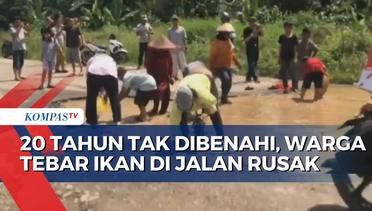 Warga Lampung Timur Tebar Ikan di Jalan Rusak yang 20 Tahun Tak Dibenahi
