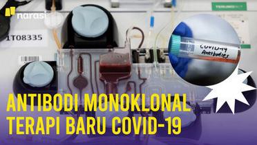 Memahami Antibodi Monoklonal: Harapan Baru untuk Terapi COVID-19