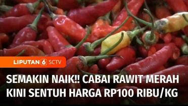 Harga Cabai Rawit Merah Terus Melonjak Sampai Tembus Rp100Ribu per Kilogram | Liputan 6