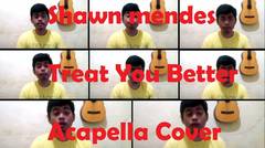 Shawn Mendes - Treat You Better - Acapella Cover