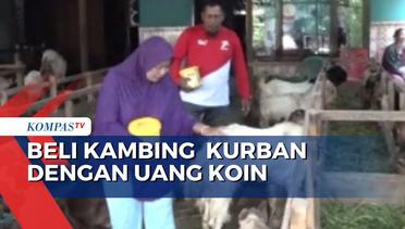 Menabung Setahun, Pria di Semarang Beli 2 Kambing Kurban dengan Uang Koin!