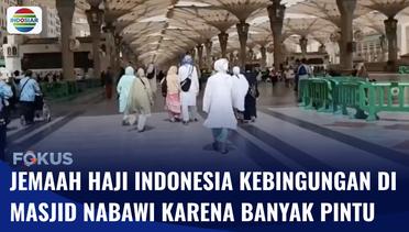 Waduh!! Ada Banyak Pintu, Buat Jemaah Haji Indonesia Kebingungan di Masjid Nabawi | Fokus