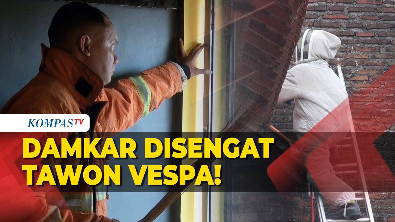 Tragedi di Atas Genting, Slamet Diserang Ratusan Tawon Vespa Saat Bersihkan Toren
