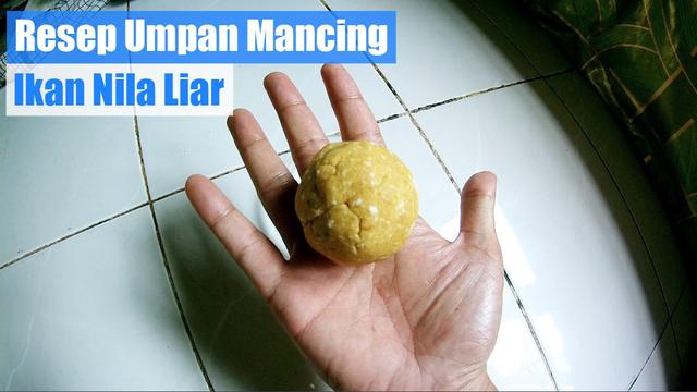 cara membuat makanan ikan puyu