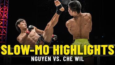 Nguyen Tran Duy Nhat vs. Azwan Che Wil - Slow-Mo Fight Highlights