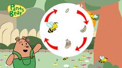 Life cycle of a bee