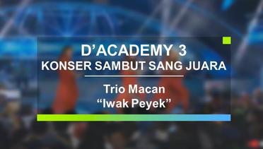 Trio Macan - Iwak Peyek (Konser Sambut Sang Juara D'Academy 3)