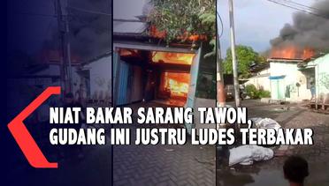 Niat Usir Sarang Tawon, Toko Gudang di Surabaya Hangus Terbakar