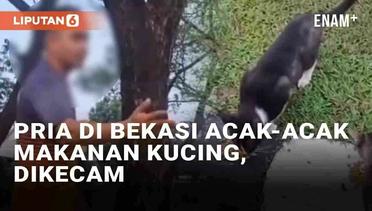 Viral Pria Acak-Acak Makanan Kucing Jalanan di Bekasi Tuai Kecaman Warganet