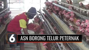 Semakin Parah! Peternak Ayam Petelur Terus Merugi, ASN di Jombang Siap Borong Telur! | Liputan 6
