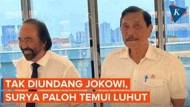 Tak Diundang Jokowi, Surya Paloh Makan Siang dengan Luhut