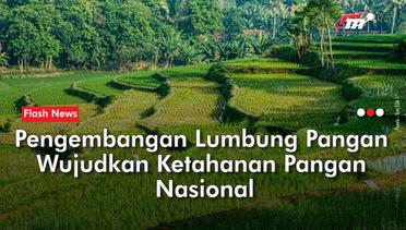 Badan Pangan Nasional Mendorong Urgensi Pengembangan Food Estate Di Indonesia | Flash News