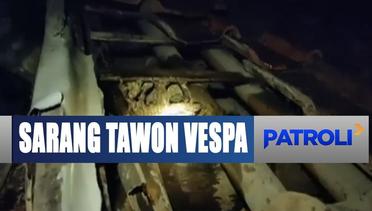 Lagi, Sarang Tawon Vespa di Bekasi Dimusnahkan - Patroli