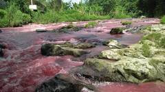 Sungai Disumatera ini tiba-tiba airnya merah