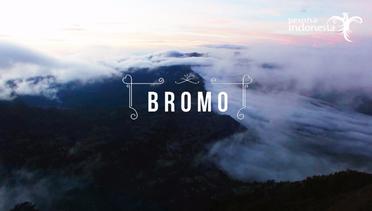 Pesona Indonesia- BROMO