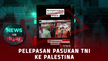 Pelepasan Pasukan TNI Ke Palestina | NEWS OR HOAX