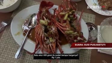 Soal Ekspor Benih Lobster, Susi Pudjiastuti- Astagfirullah