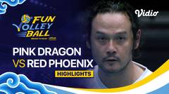 Celebrity Match: Pink Dragon vs Red Phoenix - Highlights | Fun Volleyball