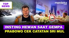 Momen Insting Gerombolan Singa Laut saat Gempa Rusia | Prabowo Cek Catatan Penting Sri Mulyani