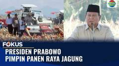 Panen Jagung Serentak di Bengkayang, Prabowo Tegaskan Pentingnya Ketahanan Pangan | Fokus