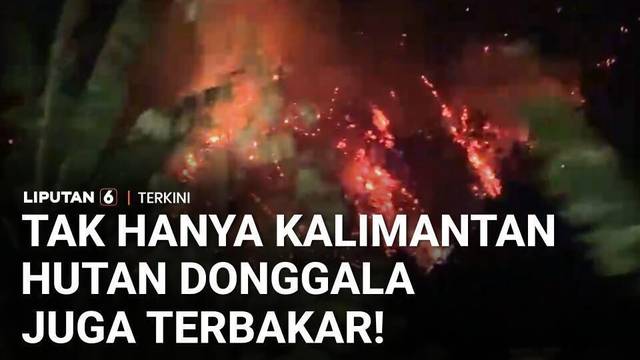 Tak Hanya di Kalimantan, Hutan Donggala Juga Terbakar | Liputan 6
