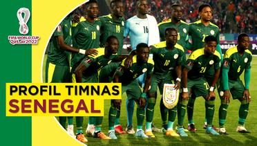 Profil Timnas Senegal di Piala Dunia 2022