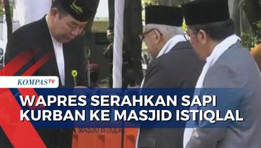Wapres Serahkan Sapi Kurban Miliknya dan Presiden Jokowi ke Masjid Istiqlal