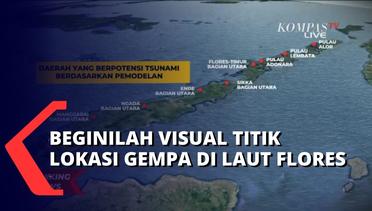 Gempa Berkekuatan 7,4 Magnitudo Mengguncang Pulau Flores, Inilah Visual Asal Titik Lokasi Gempa NTT
